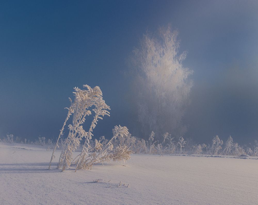 Фотография автора Гарбузов Илья