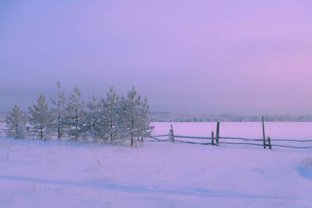 Photograph by Елена Ефимова