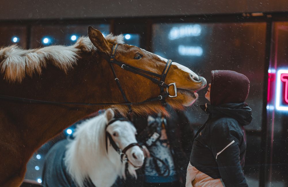 Photograph by Anton Kotlovskii