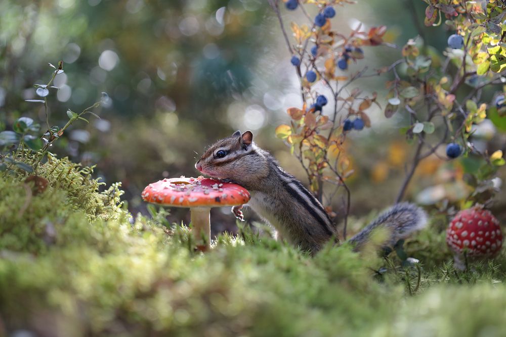 Photograph by Евгения Левина