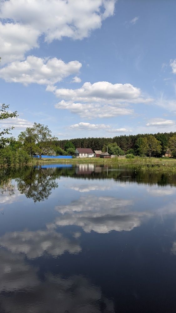 Фотография автора Васильева Ирина