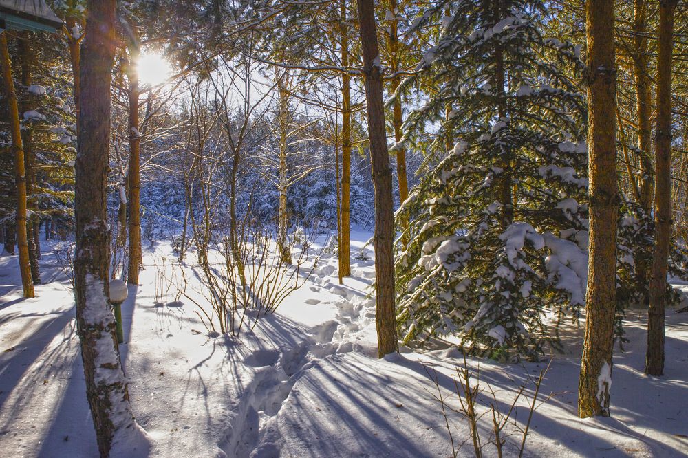 Photograph by Валерий Богачев