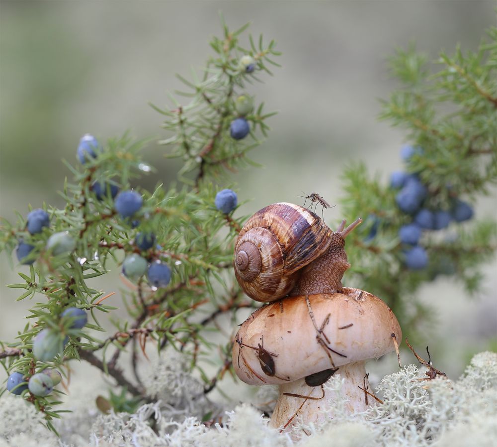 Photograph by Евгения Левина