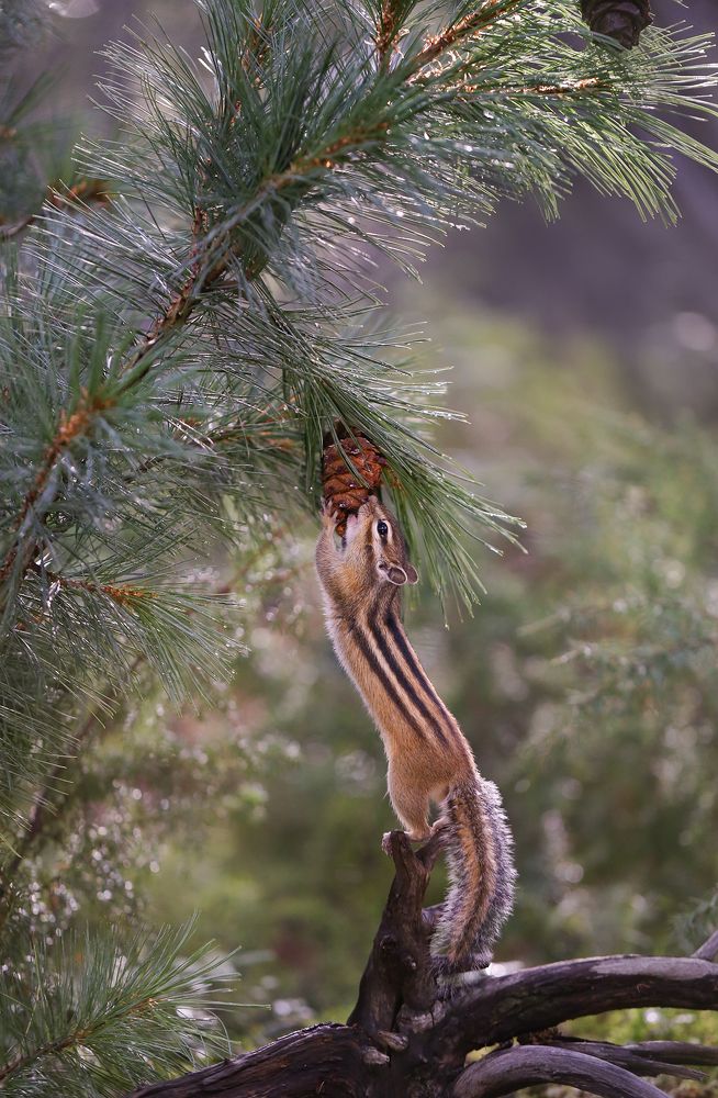 Photograph by Евгения Левина