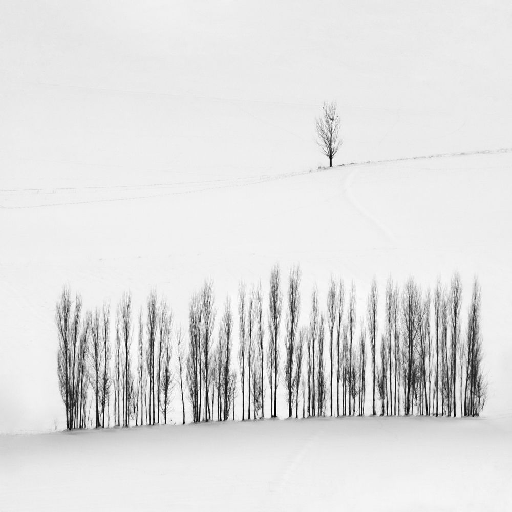 Photograph by mohammad Alipour