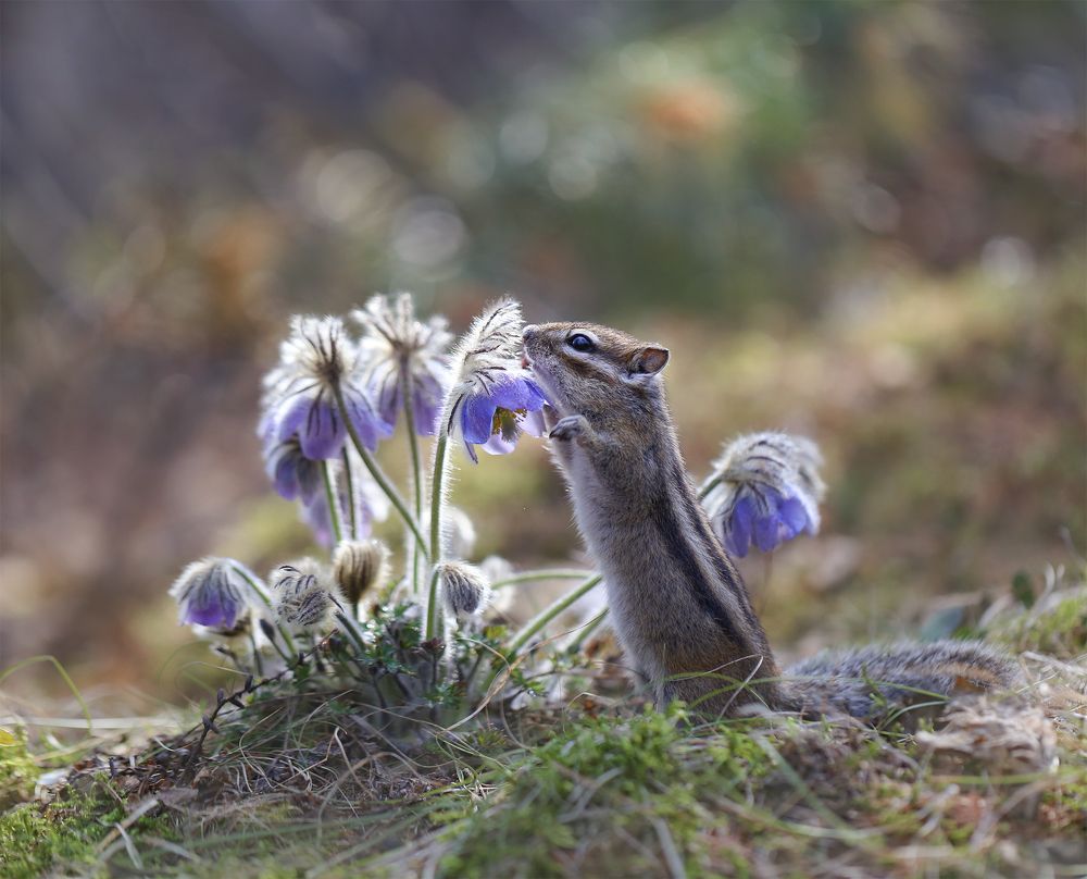Photograph by Евгения Левина