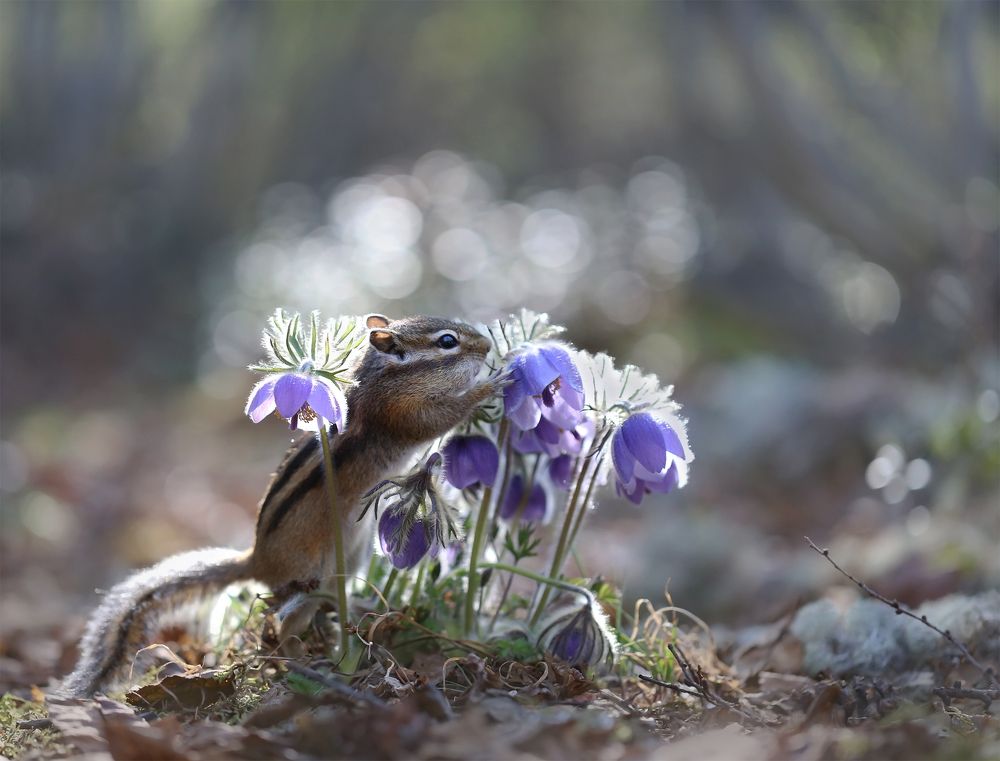 Photograph by Евгения Левина