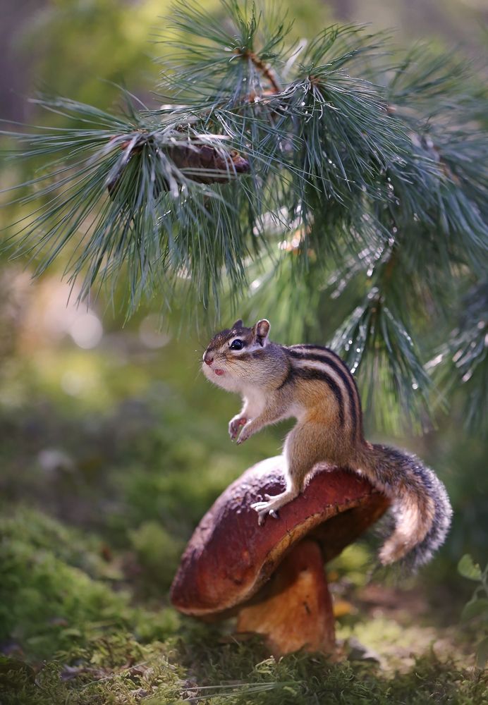 Photograph by Евгения Левина