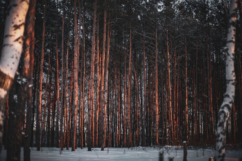 Photograph by Владислав Планков