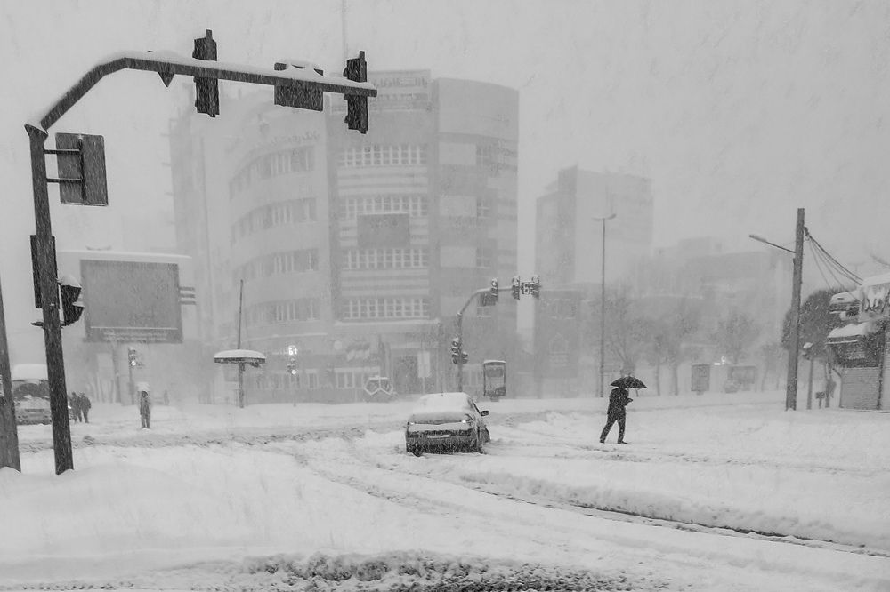 Photograph by Saeed Rezazadeh