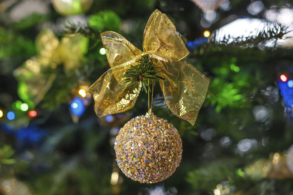 Photograph by Добродий Михаил