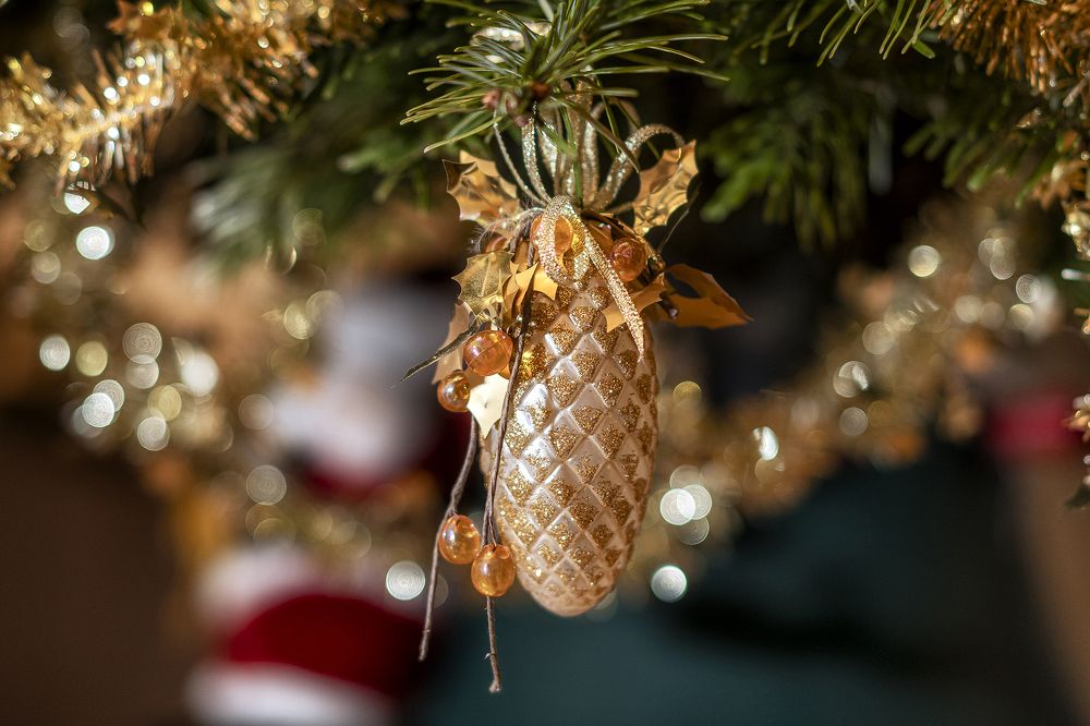 Photograph by Добродий Михаил