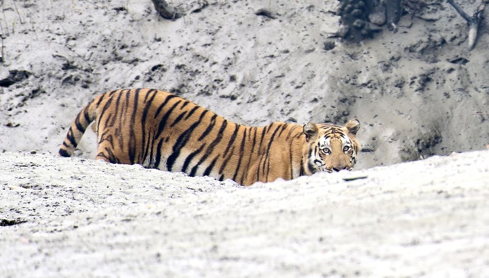 Photograph by SREENIVASA RAO ILLURI