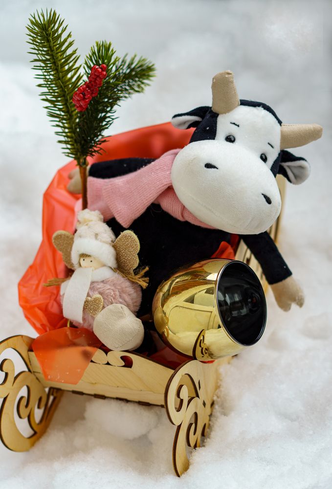 Photograph by Добродий Михаил