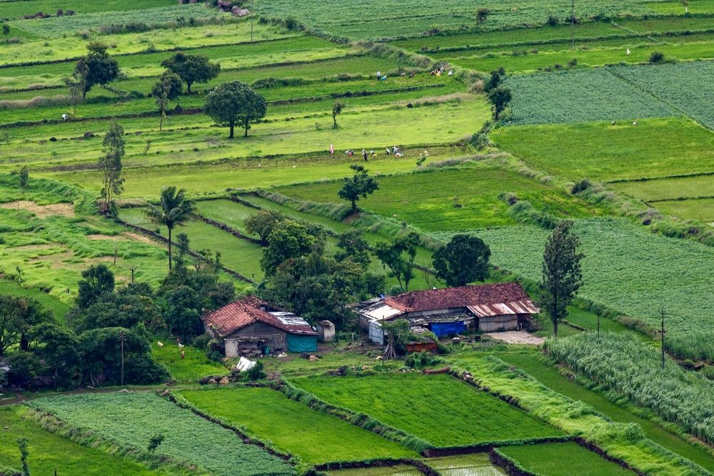 Photograph by Dhananjay Jadhav