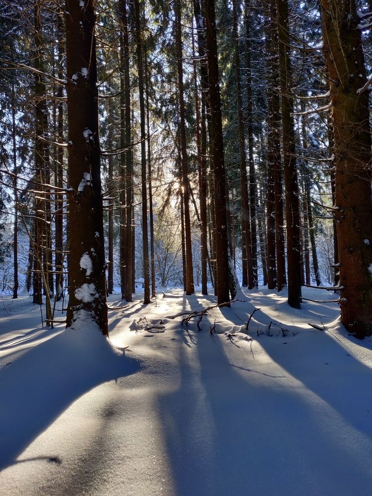 Photograph by Наталья Корнеева