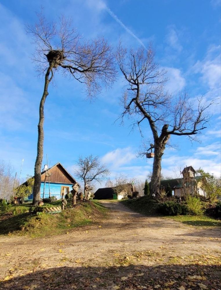 Фотография автора Lada Yakouchyk
