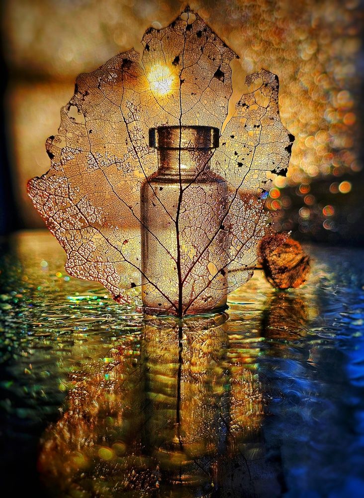 Photograph by Ольга Веселова