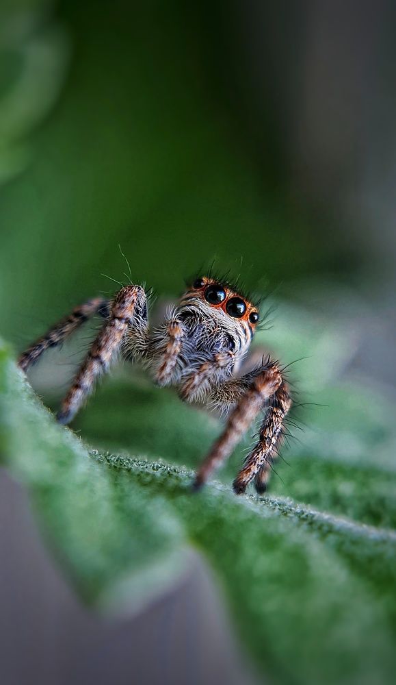 Photograph by Ольга Веселова