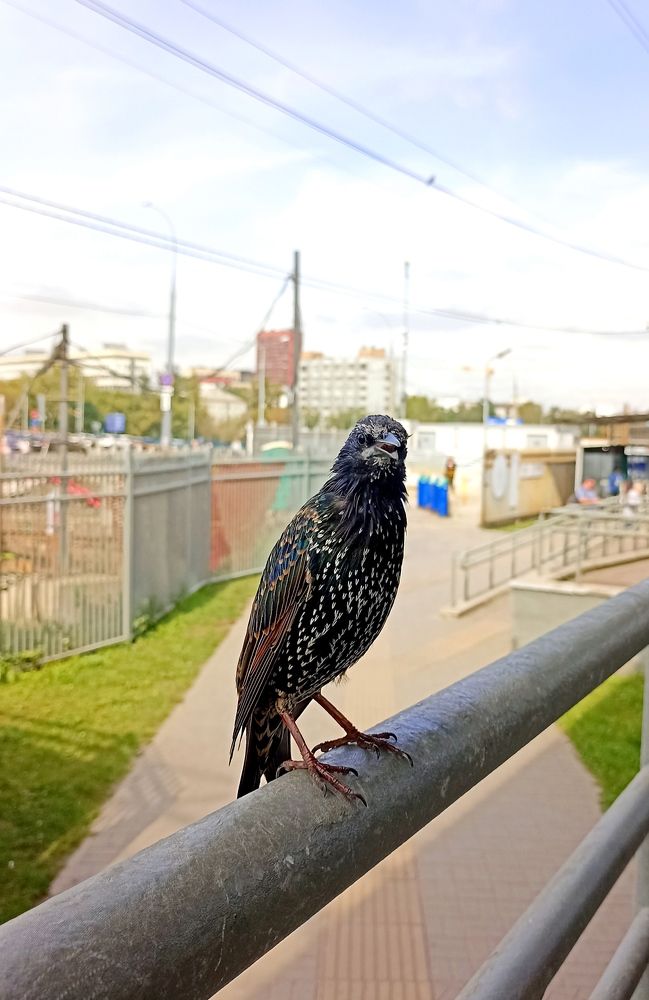 Photograph by Олеся Лосыгина