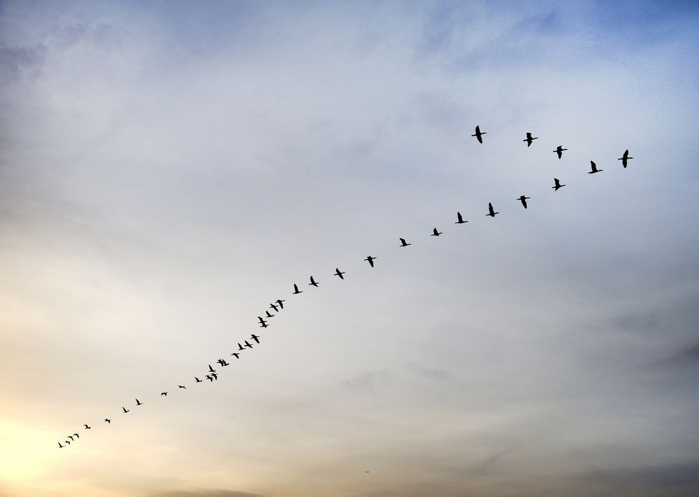 Photograph by Bekir Yesiltas