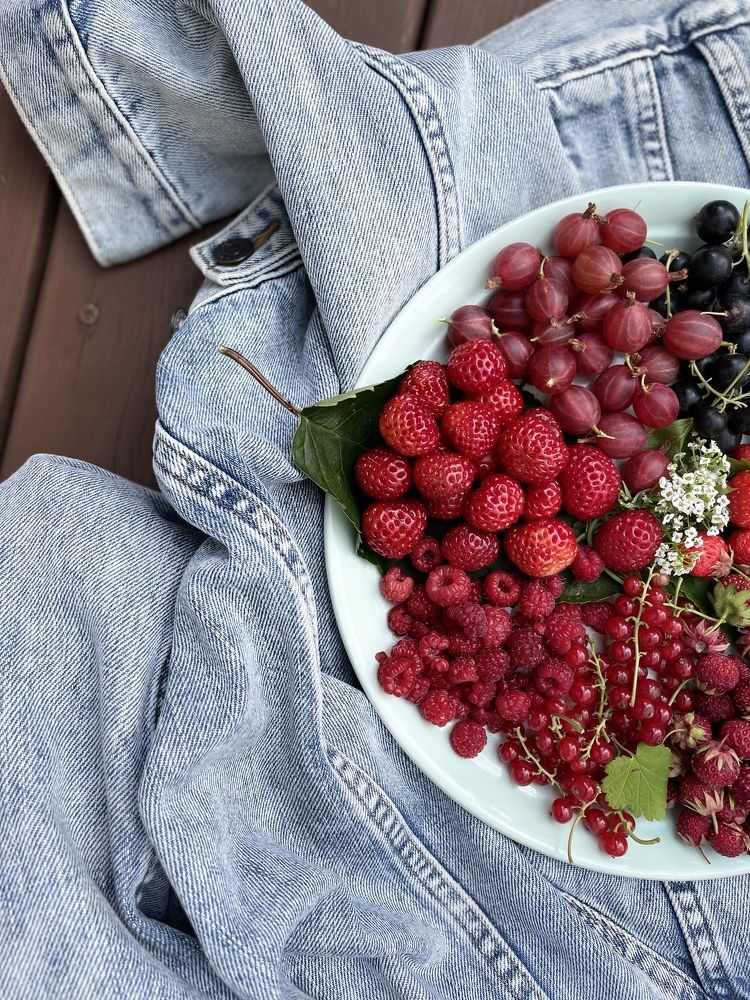 Photograph by Ольга