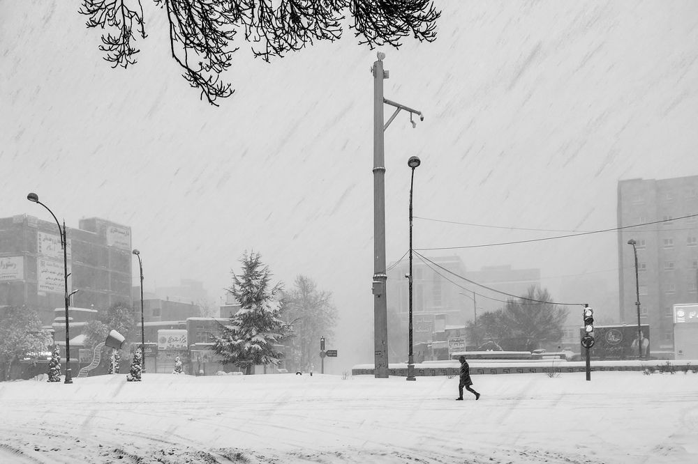 Photograph by Saeed Rezazadeh