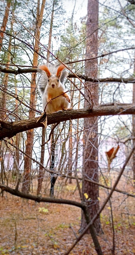Photograph by Олеся Лосыгина
