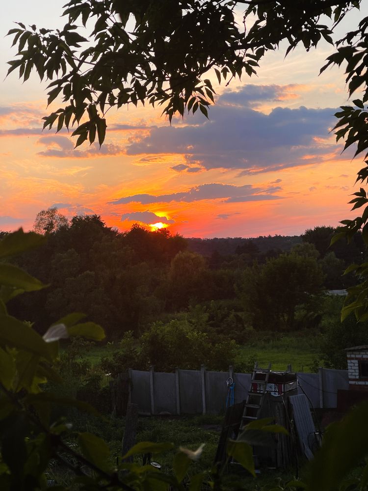 Photograph by Олена Уманцева