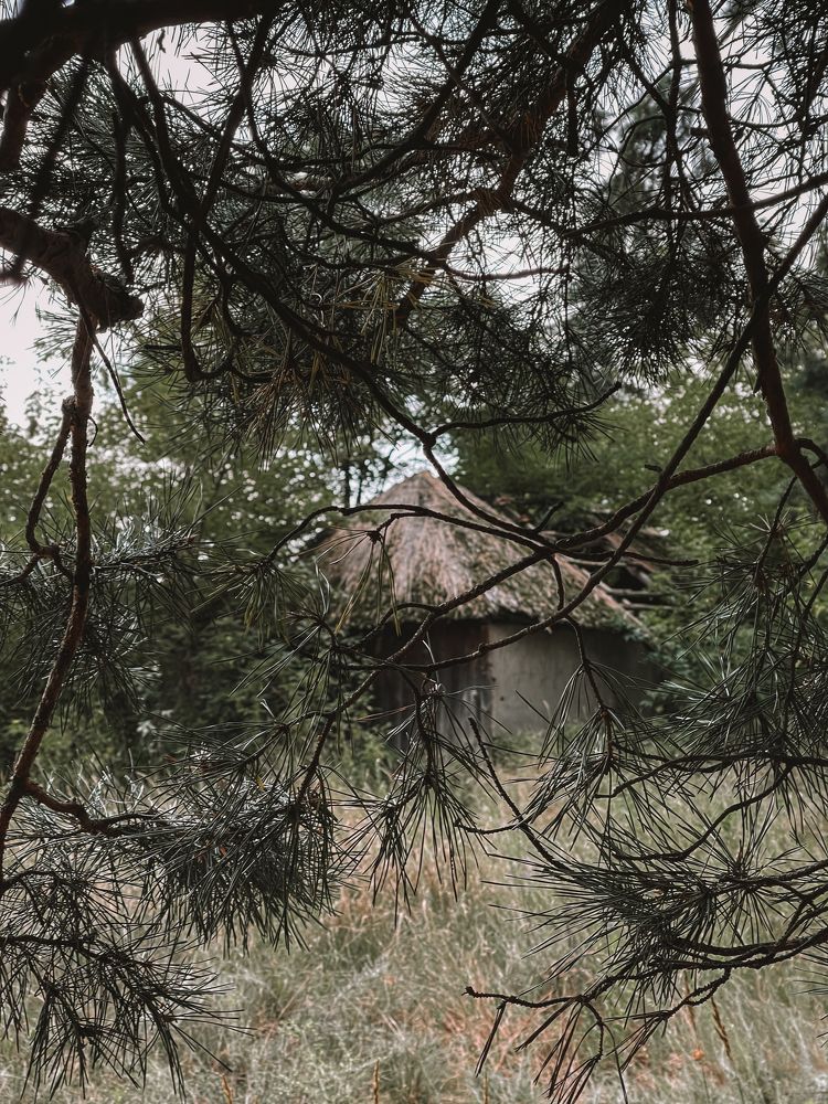 Photograph by Олена Уманцева