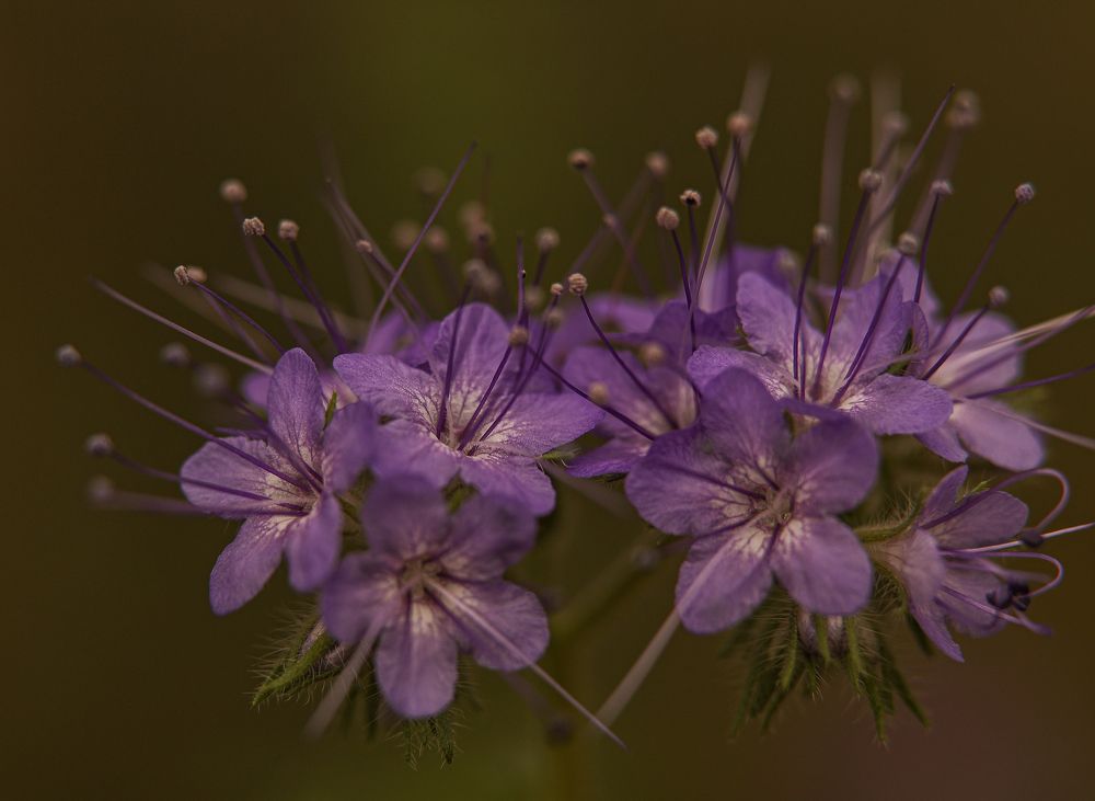 Photograph by Елена Одынец