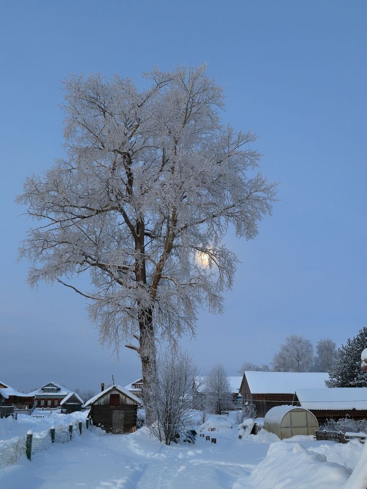 Photograph by Титов Александр