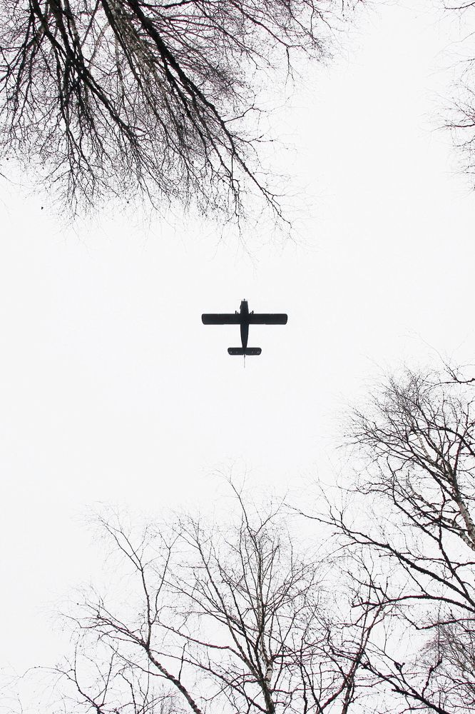 Photograph by Любовь Козлова