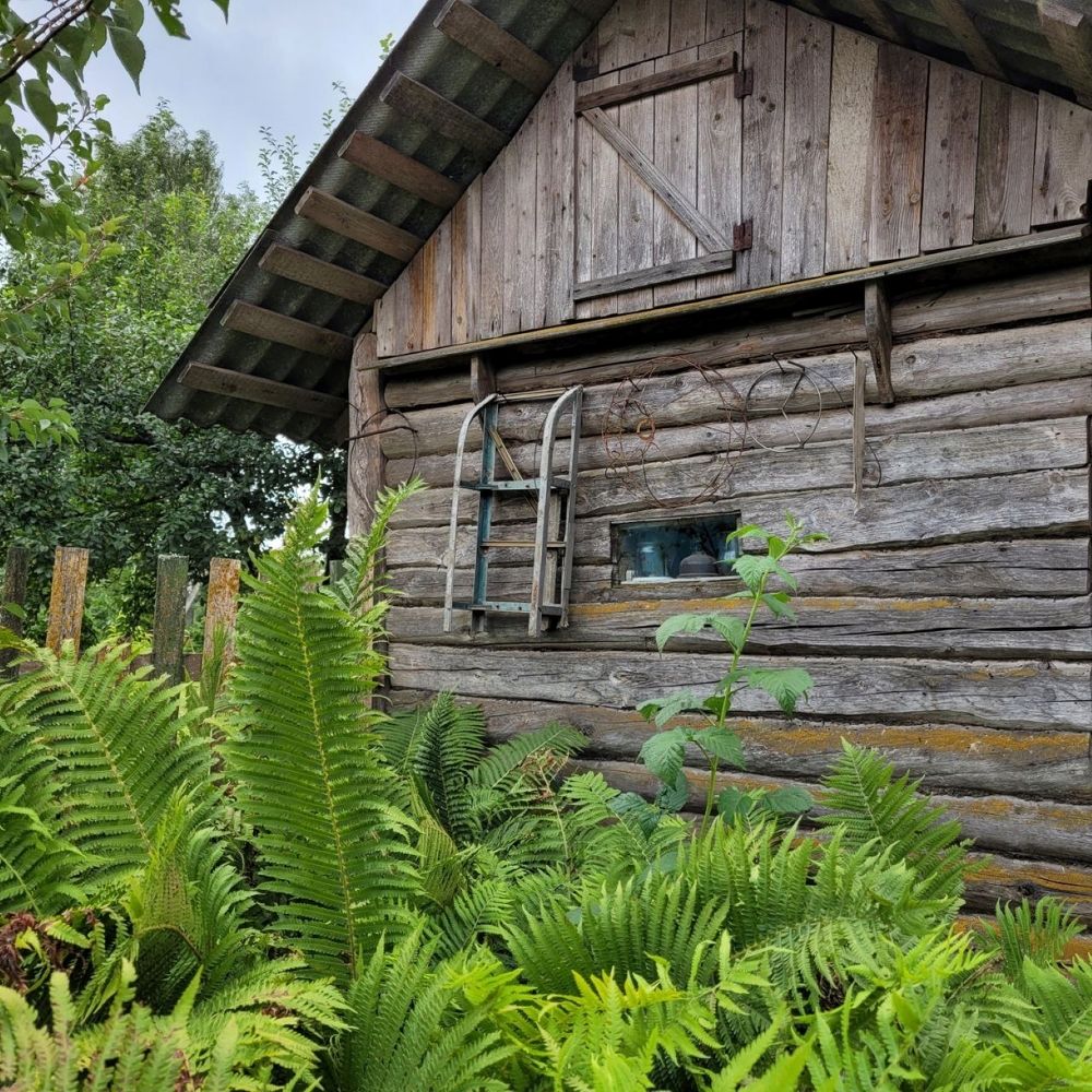 Фотография автора Lada Yakouchyk