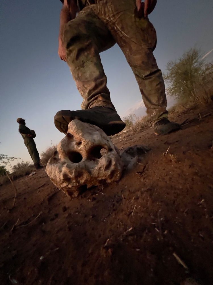 Photograph by Готардо Ронитис