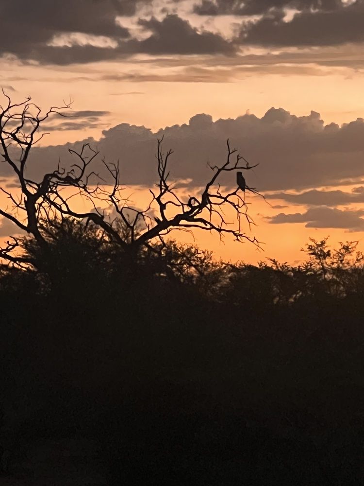 Photograph by Готардо Ронитис