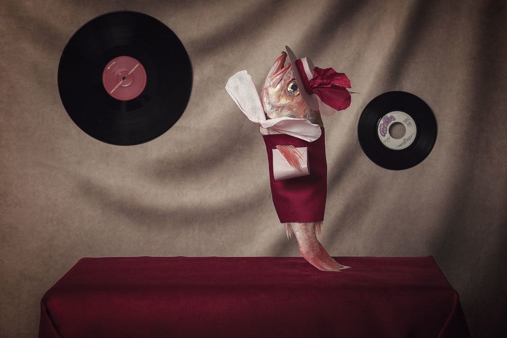 La vie surréaliste de la daurade