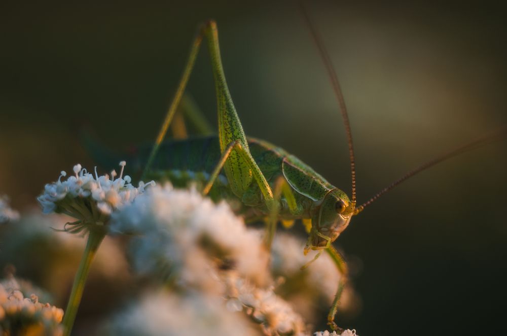 Photograph by Илья Толстоноженко