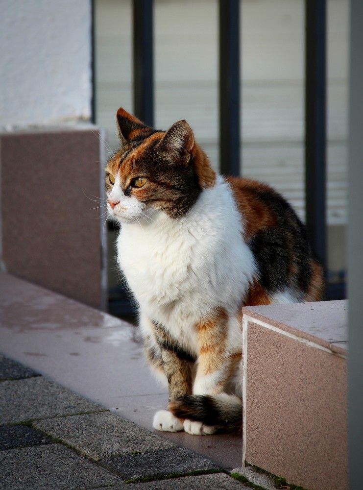 Photograph by Ольга Перелыгина