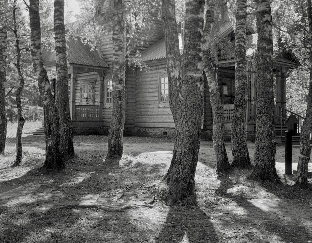 Photograph by Kuzmichev Alexey