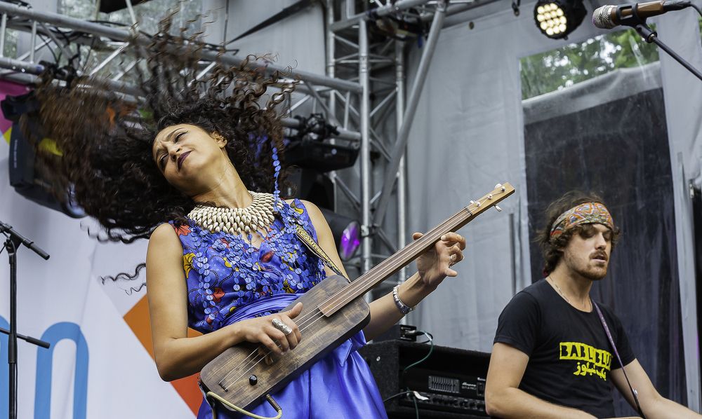 Фотография автора P Putters