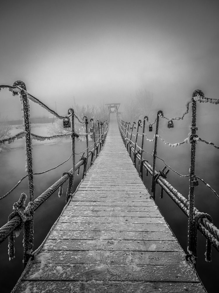 Фотография автора Игорь Васильев