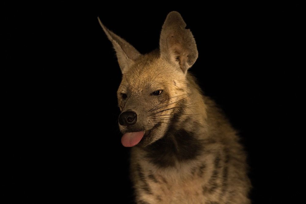 Photograph by Limor Bahar