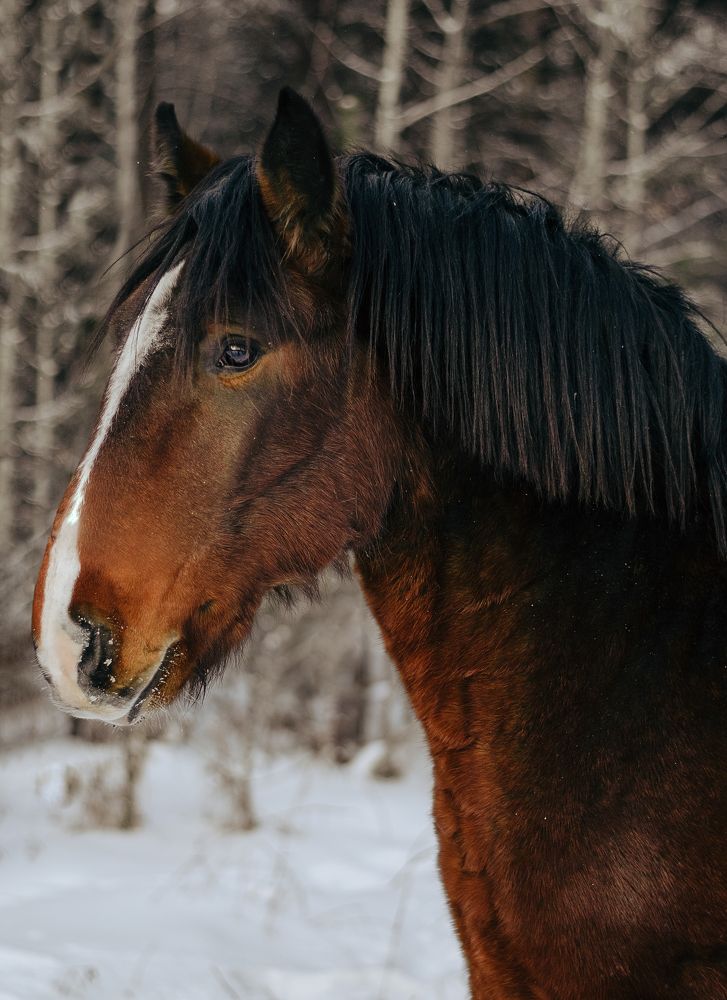 Photograph by Елена Коновалова