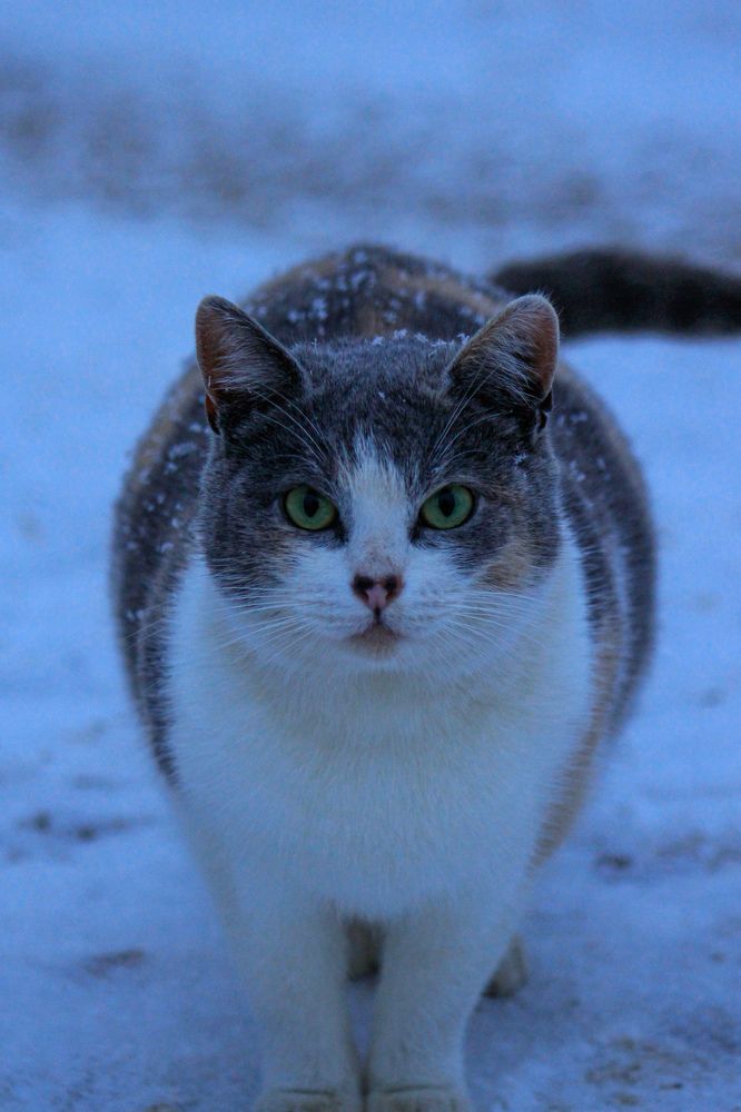 Photograph by Юркин Егор