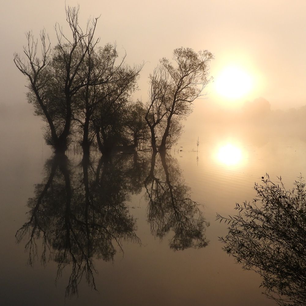 Фотография автора Bastini Gabriele