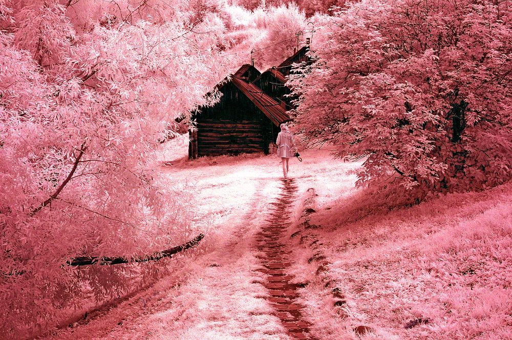 Инфракрасная фотография. Июль .Полдень.Жара.