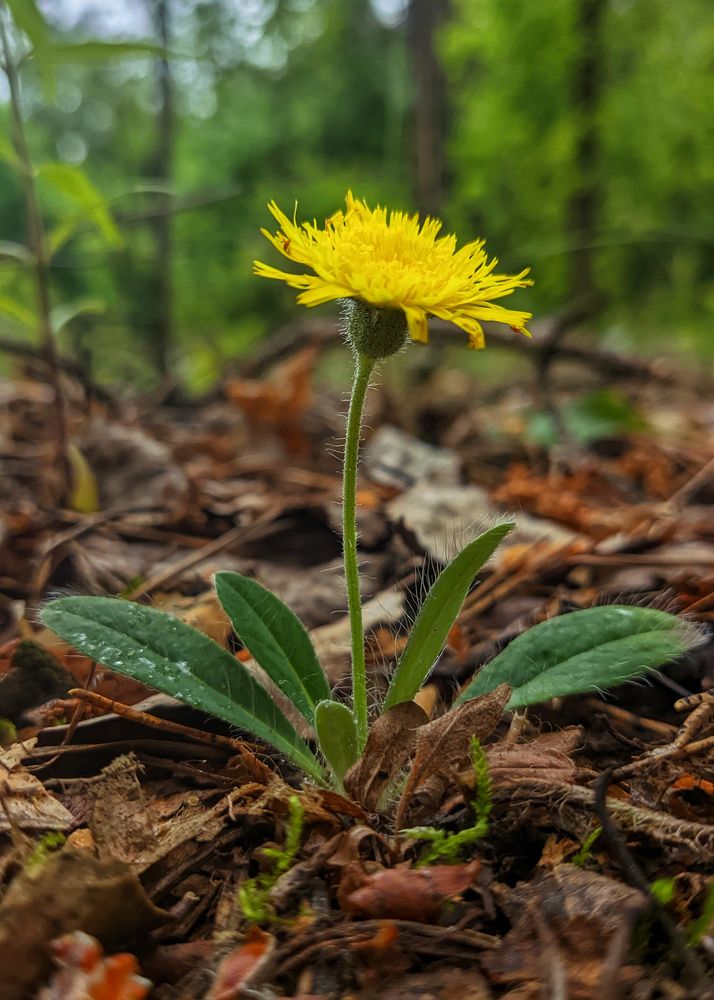 Photograph by Сергей Дишук