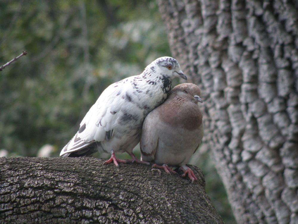 Photograph by Константин