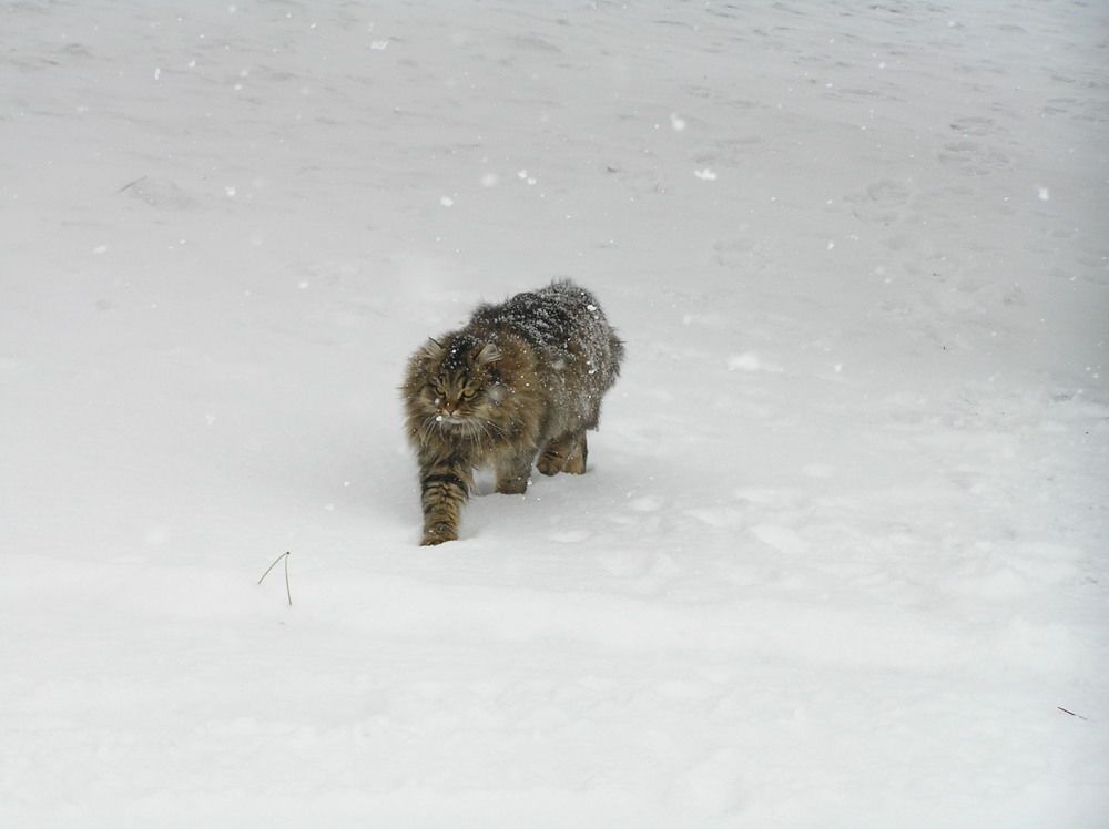 Photograph by Константин